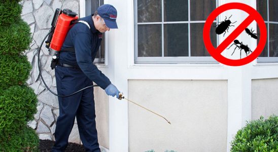 Gülyalı Karınca İlaçlama böcek ilaçlama ve haşere kontrolü — ilaclama-tr.com